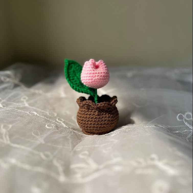 Tulip Flower Pot