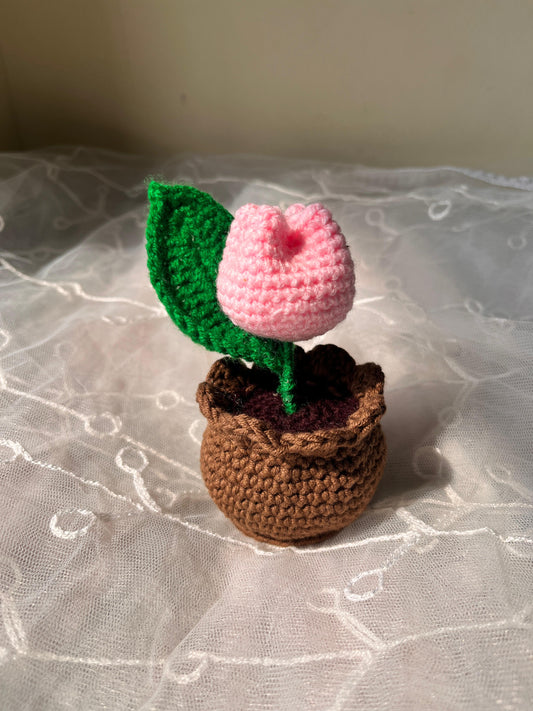 Tulip Flower Pot